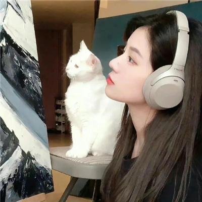 梅艳芳菲